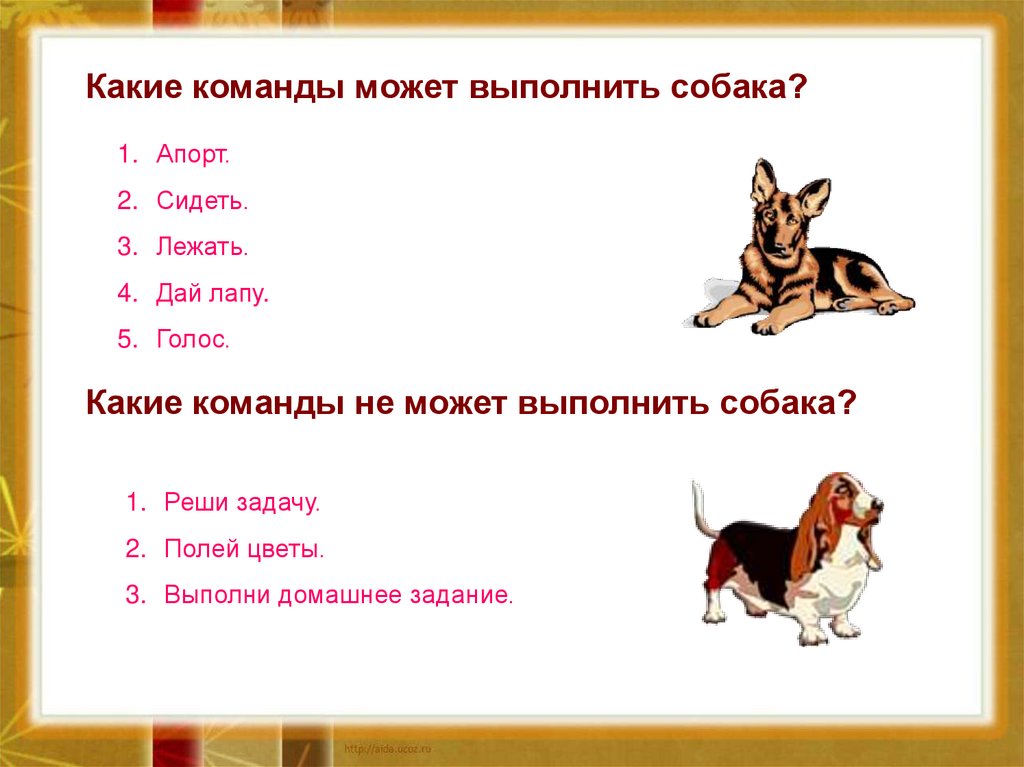 Щенок какие звуки. Какие команды могут выполнять собаки. Собака выполняет команды. Какие команды для собак. Какие команды можно дать собаке.