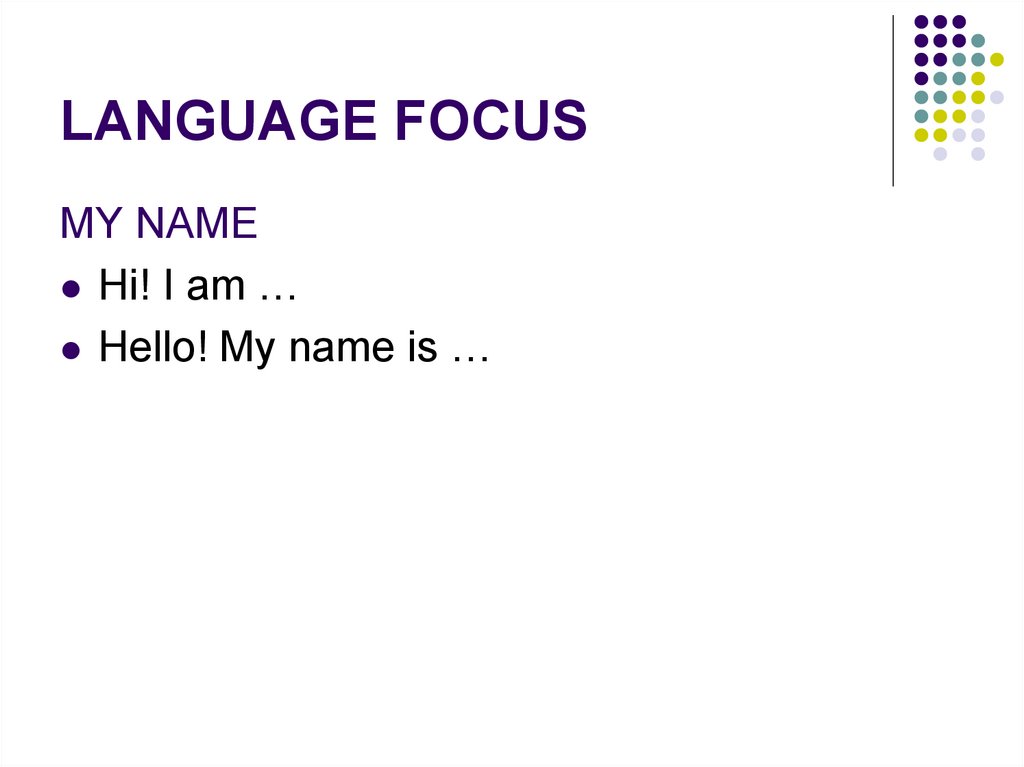 LANGUAGE FOCUS