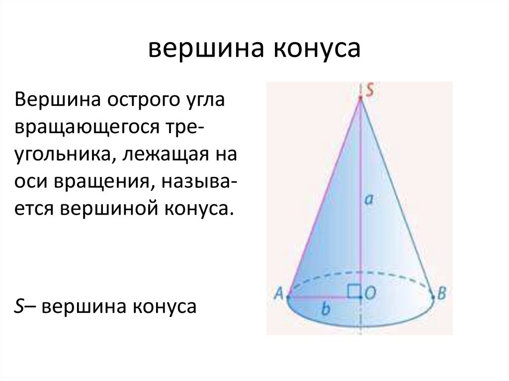 Конус, его элементы и виды конусов - online presentation