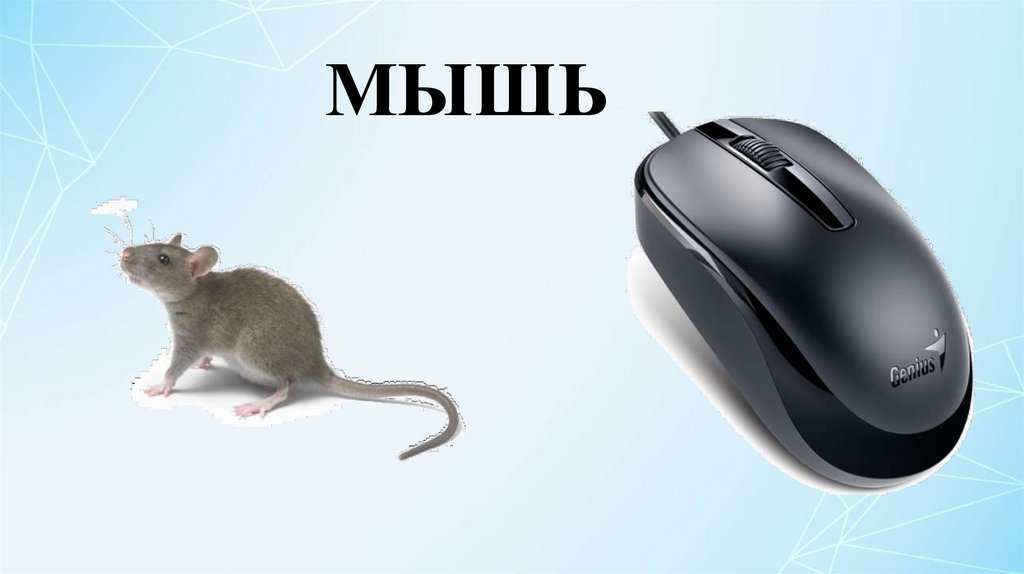 Манипулятор mouse