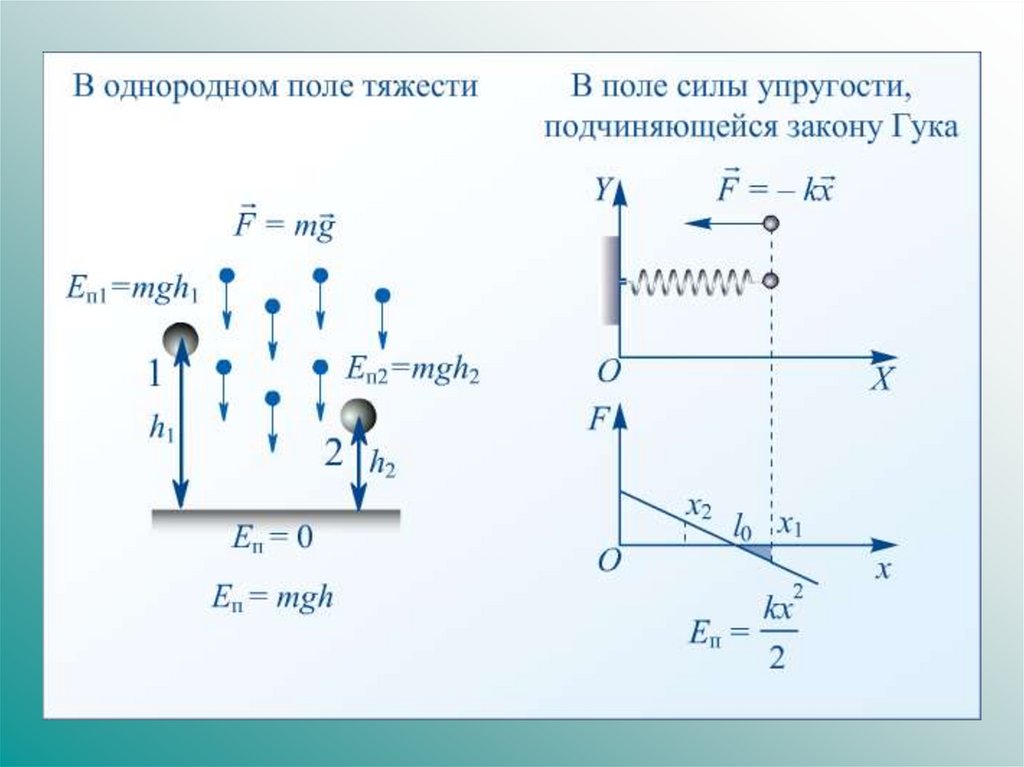 Работа силы тяжести тела. Поле силы тяжести. Однородное поле тяжести. Движение в поле силы тяжести. Потенциальная энергия тела в однородном поле силы тяжести.