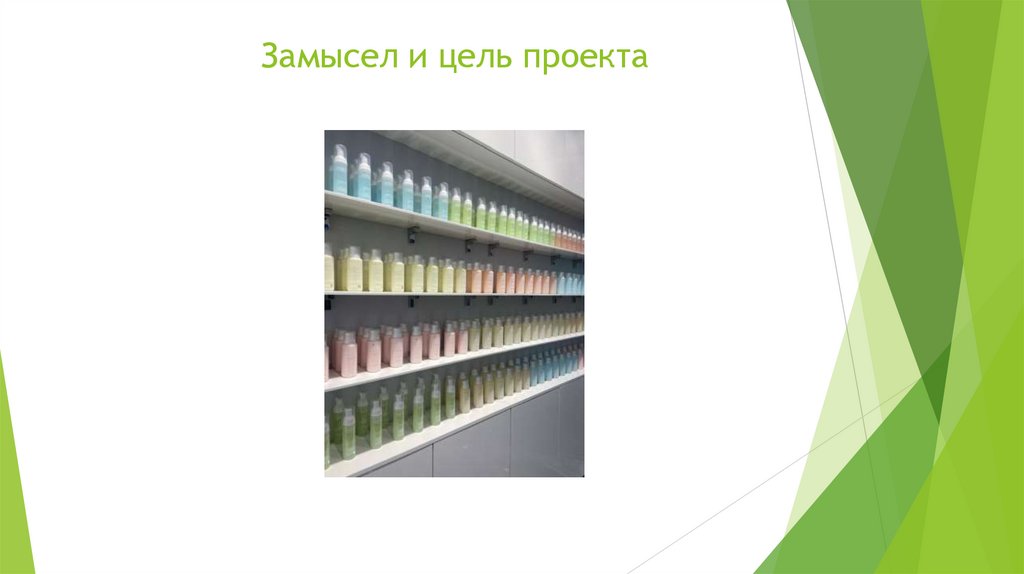 Замысел и цель проекта