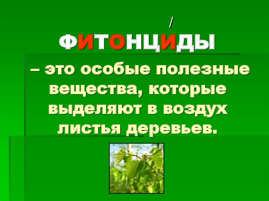 Леса россии презентация 4 класс школа россии презентация