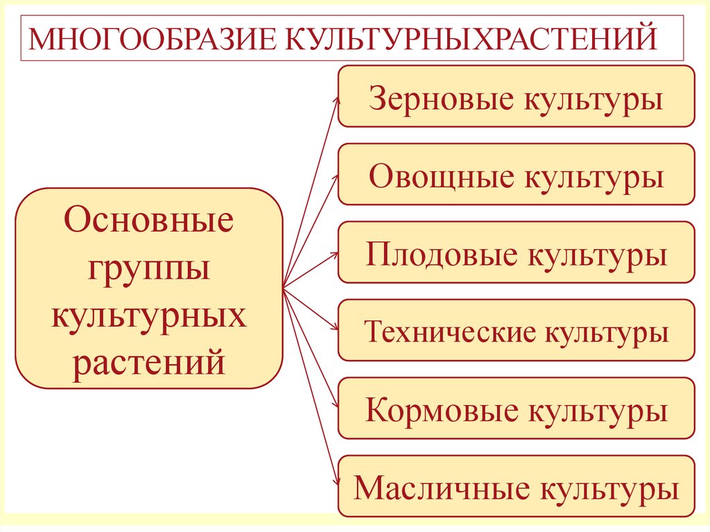 Культуры 6. Классификация культурных растений. Характеристика культурных растений. Культурные растения биология. Классификация культурных растений таблица.