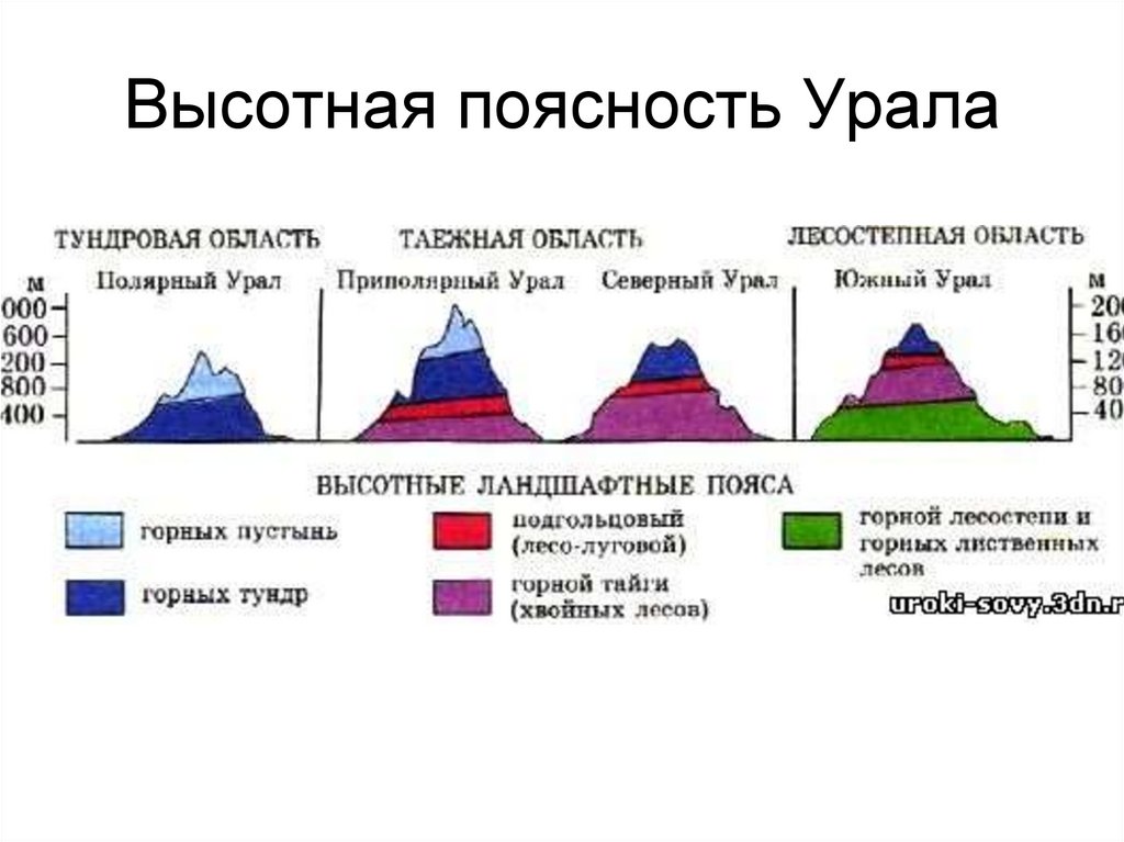 Генерализованная схема типовой структуры высотной поясности гор россии