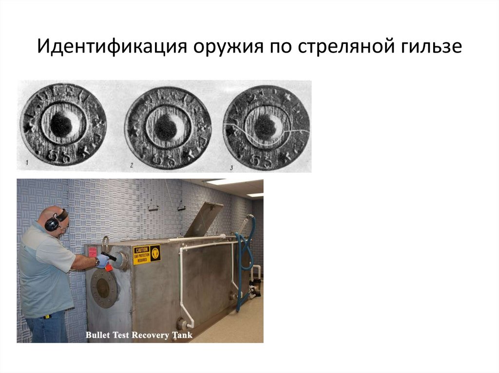 Схема система криминалистического оружиеведения