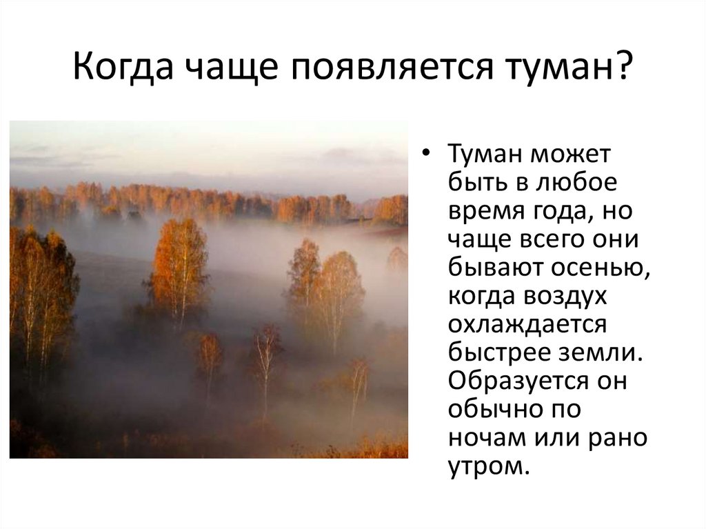 Как образуется туман? — sauna-chelyabinsk.ru