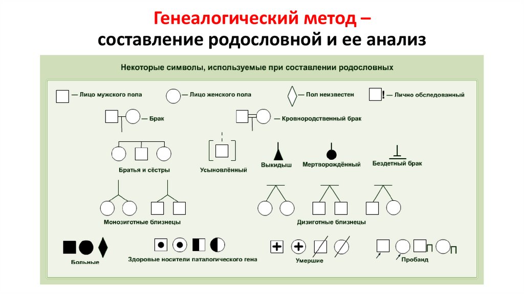 По родословной представленной на рисунке