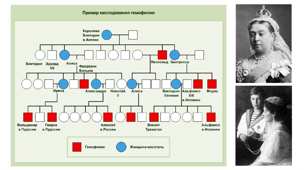 По родословной представленной на рисунке определите характер наследования признака доминантный или