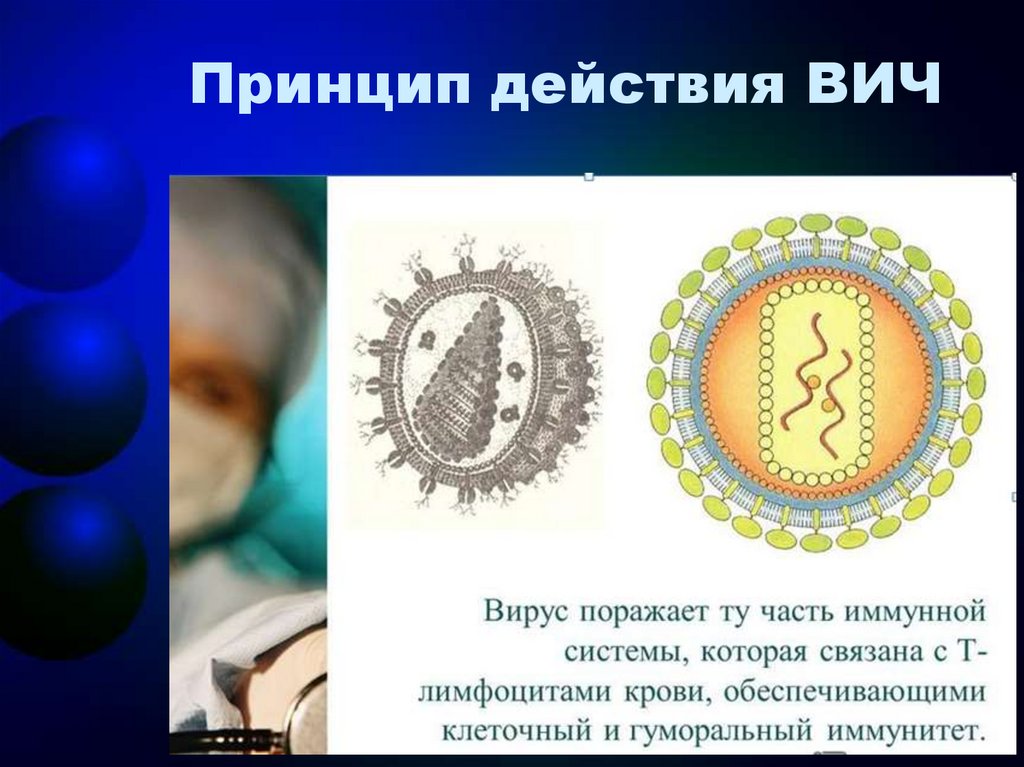 Принцип действия ВИЧ