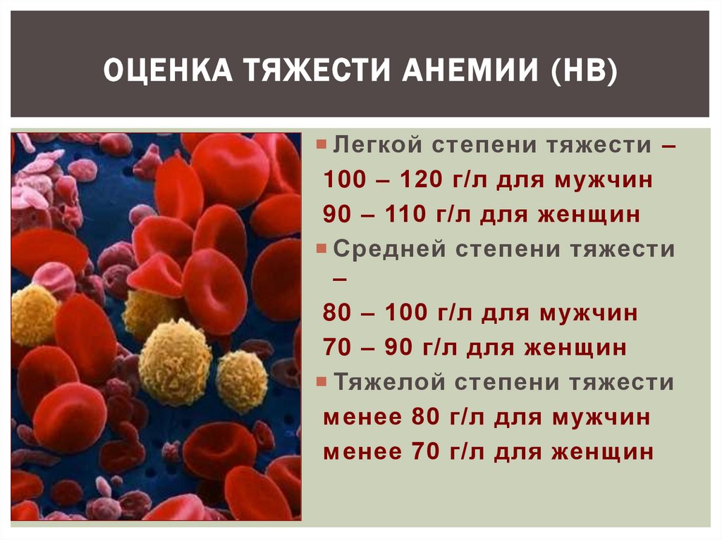 Можно сдавать кровь при анемии