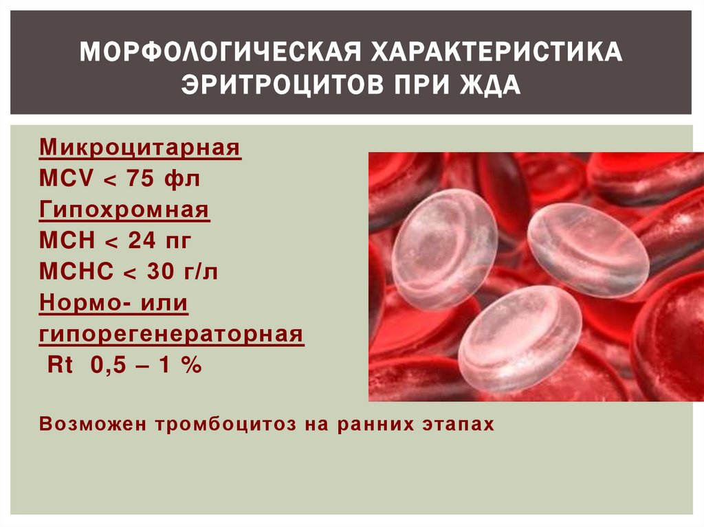 При железодефицитной анемии в анализе крови наблюдаются