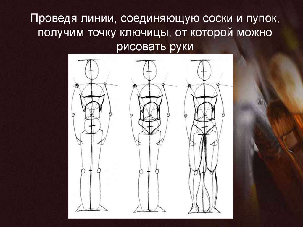 Высоте почему мы видим фигуры человека такими. Строение фигуры человека. Пропорции и строение человека. Строение тела человека изо. Фигура человека изо.