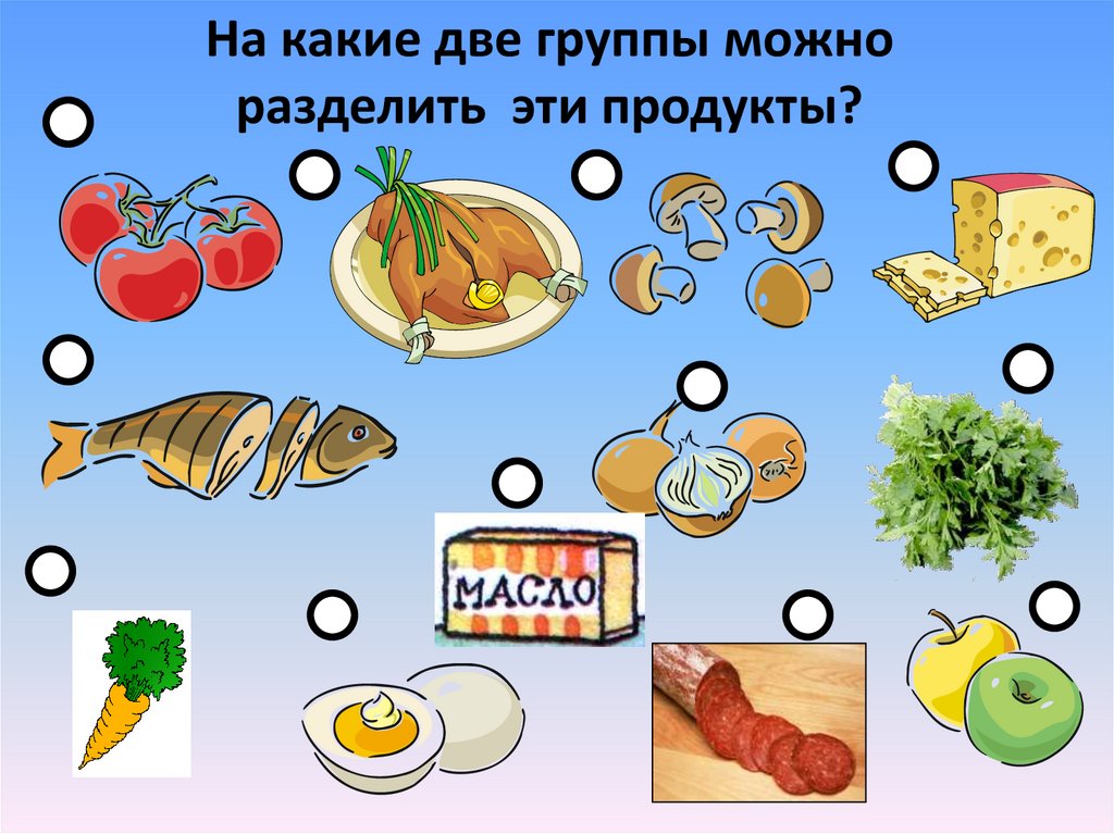 Растительное и животное происхождение 2 класс