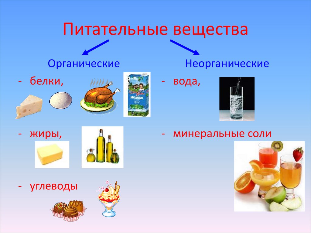 Презентация белки жиры и углеводы 9 класс по химии