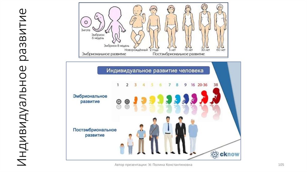 Индивидуальное развитие