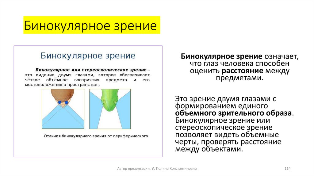 Бинокулярное зрение