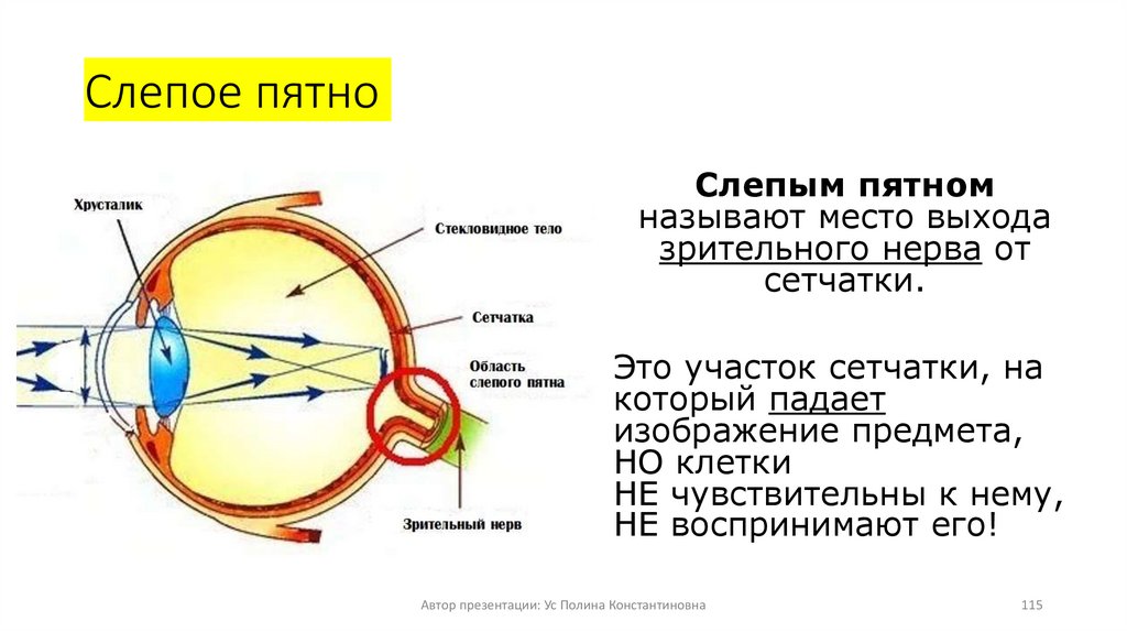 Слепое пятно