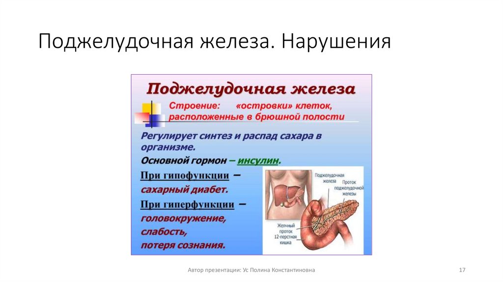 Поджелудочная железа. Нарушения
