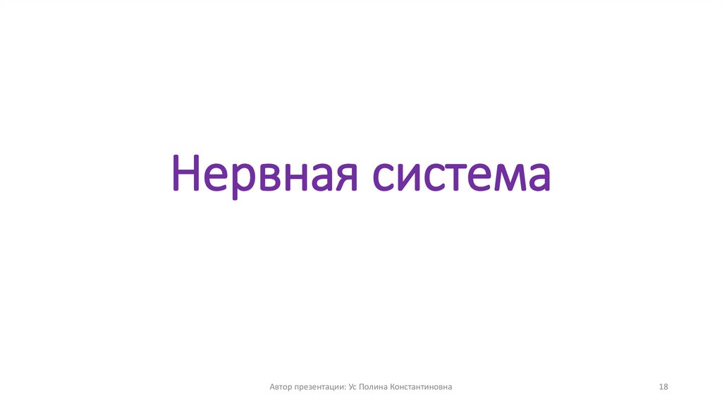 Нервная система