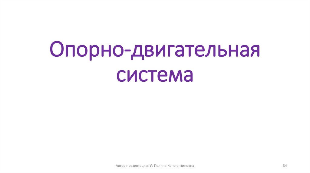 Опорно-двигательная система