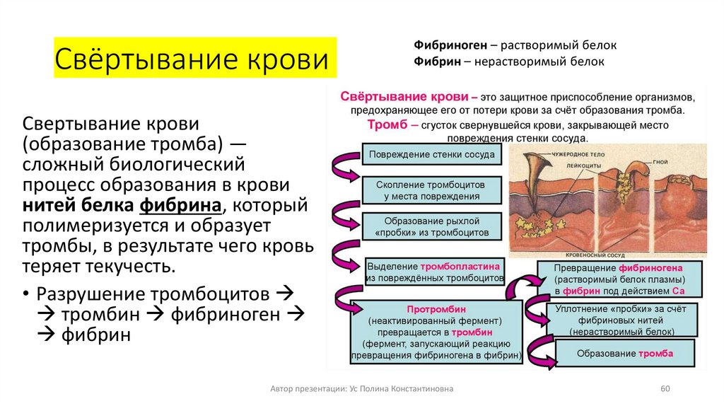 Свёртывание крови