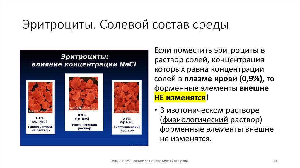 Эритроциты. Солевой состав среды