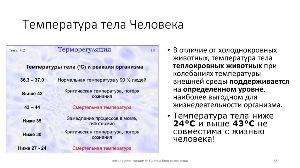 Температура тела Человека
