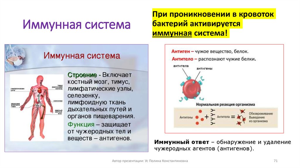 Иммунная система