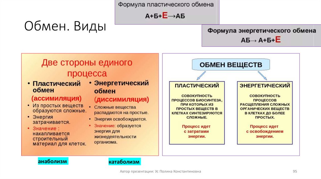 Обмен. Виды