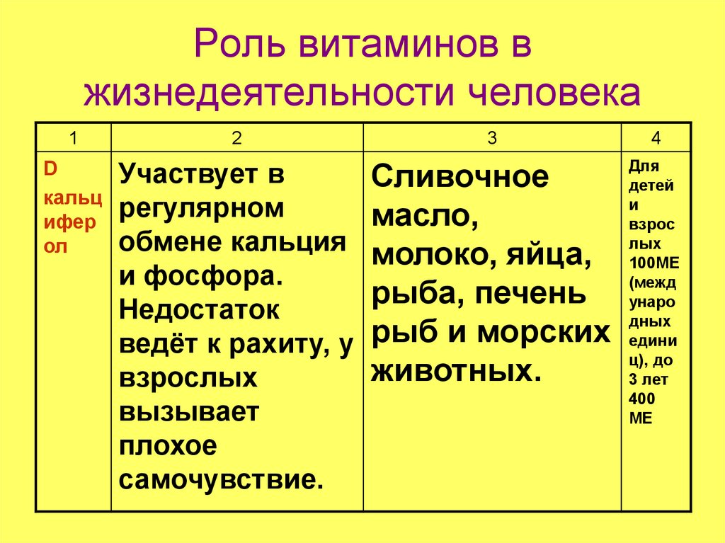 Какие стороны человеческой жизнедеятельности