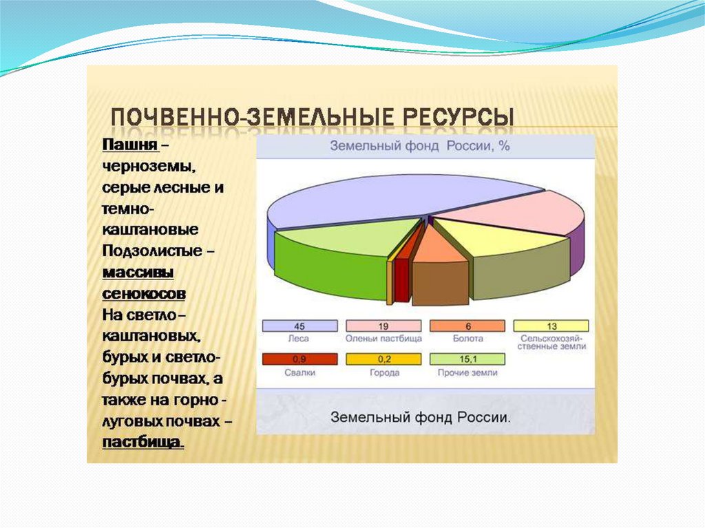 Российские почвы. Почвы России презентация. Состав почв России. Почвы России в процентах. Типы почв в России литература.