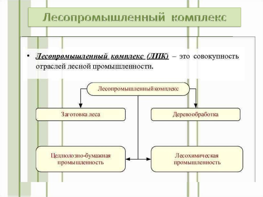 Определить проблемы развития комплекса лесного комплекса