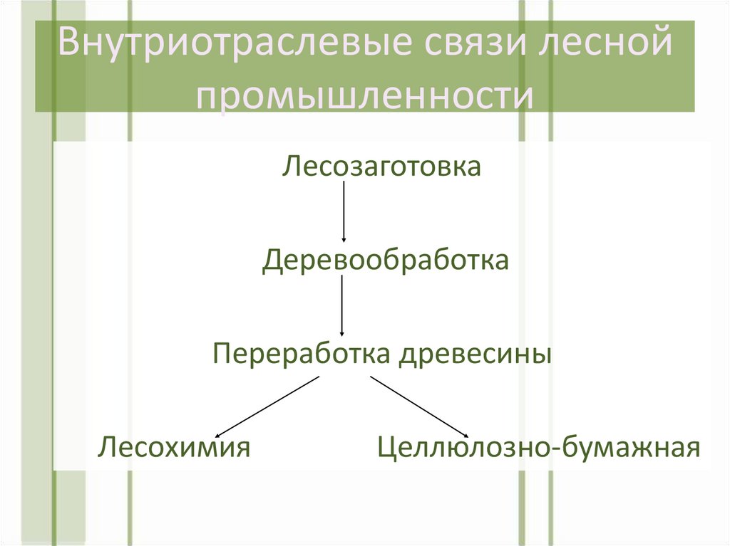 С какими отраслями тесно связана лесная промышленность