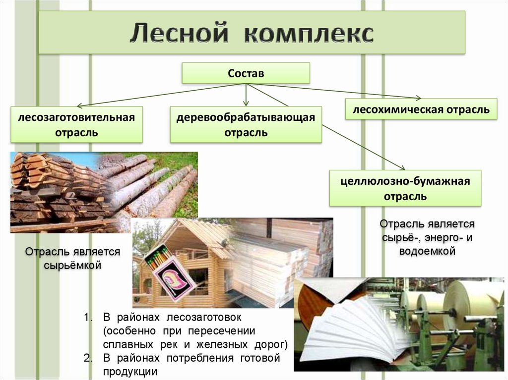 Определить проблемы развития комплекса лесного комплекса