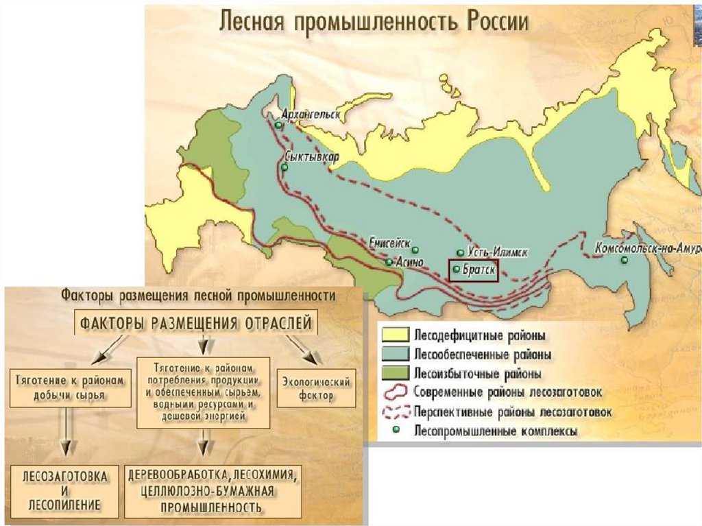 Химико лесные базы. Карта Лесной промышленности России. Центры Лесной промышленности в России. Центры Лесной и деревообрабатывающей промышленности в России. Карта Лесной комплекс России.