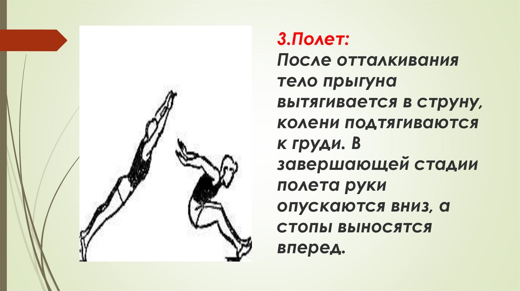 В какой стадии полета тело прыгуна