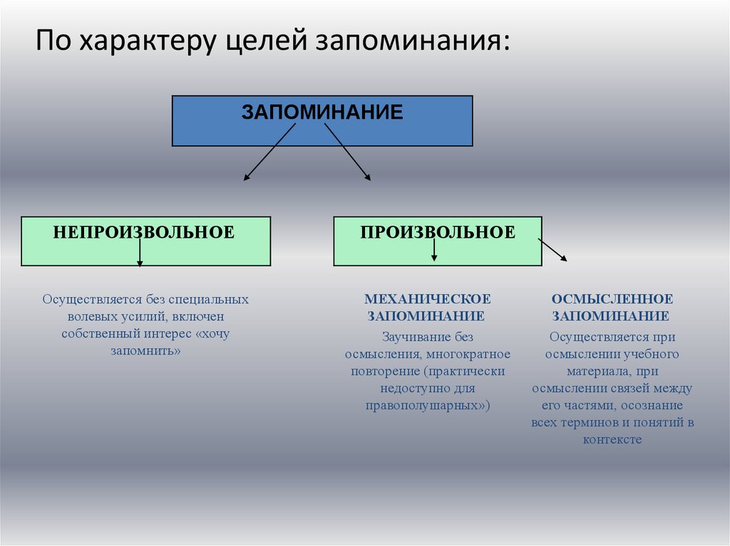 Виды памяти презентация 8 класс