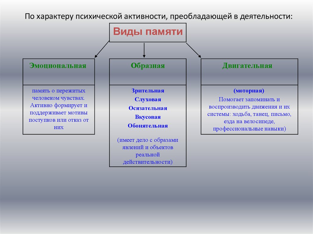 Память виды памяти презентация