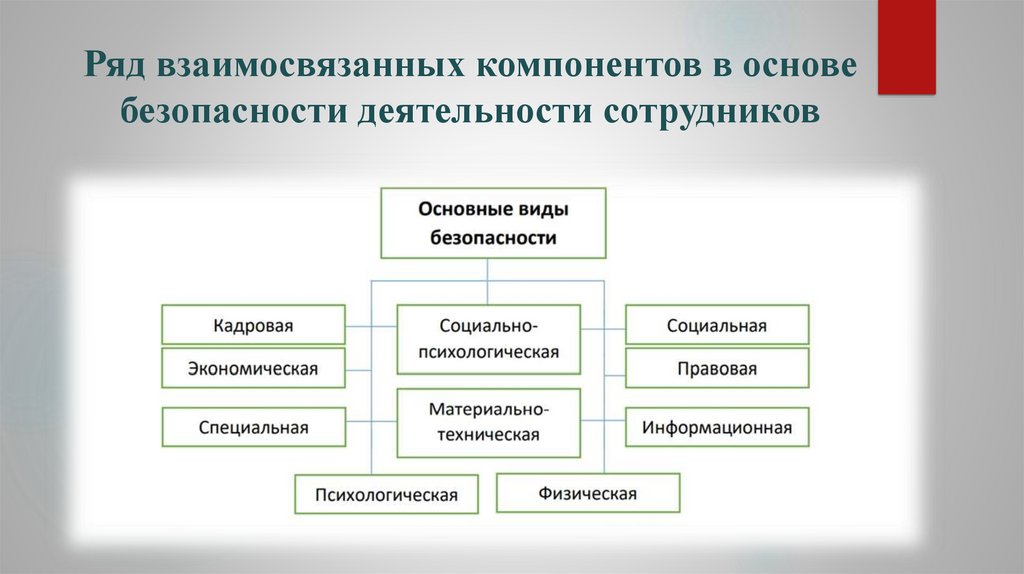 Представляют собой систему взаимосвязанных элементов