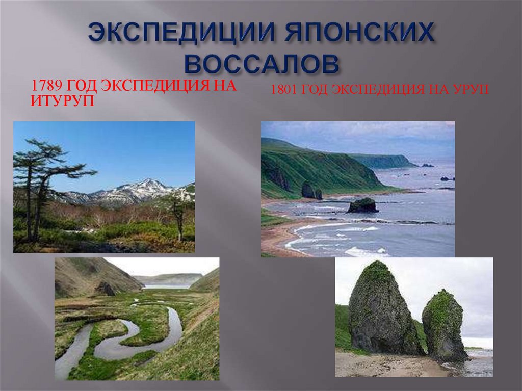 ЭКСПЕДИЦИИ ЯПОНСКИХ ВОССАЛОВ