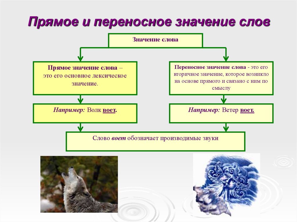 Особенности употребления слов с переносным значением в речи проект