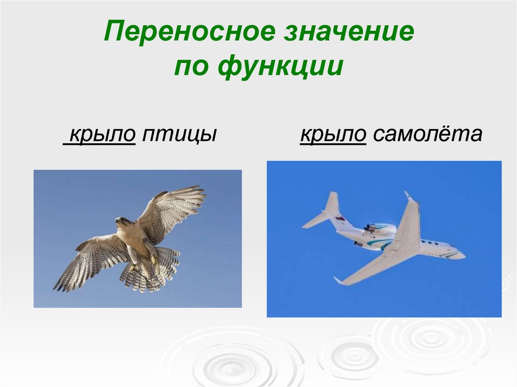 Речь в переносном значении. Крыло самолета это переносное значение. Крылья самолета прямое или переносное. Крыло переносное значение. Крыло в переносном значении.