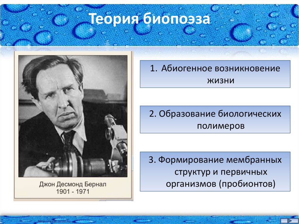 Теория биопоэза. Гипотеза биопоэза. Теория биопоэза сформулировал. Теория биопоэза этапы.