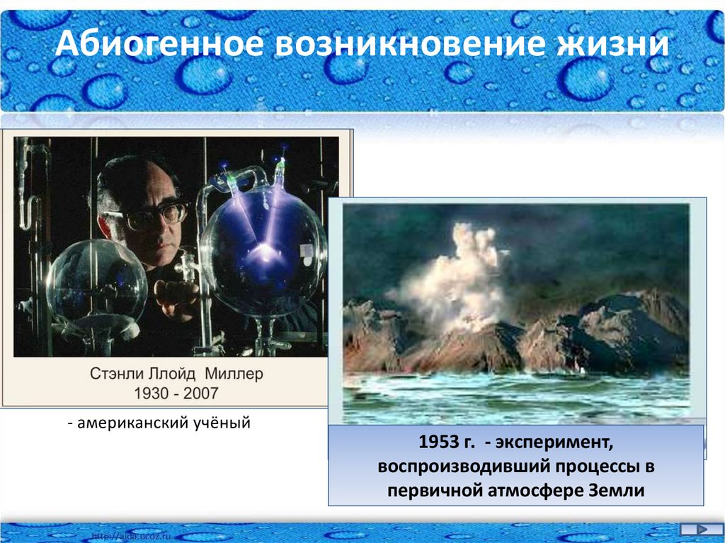 Современные представления о возникновении жизни 11 класс. Абиогенное возникновение жизни. Абиогенное происхождение жизни. Абиогенное Зарождение жизни.