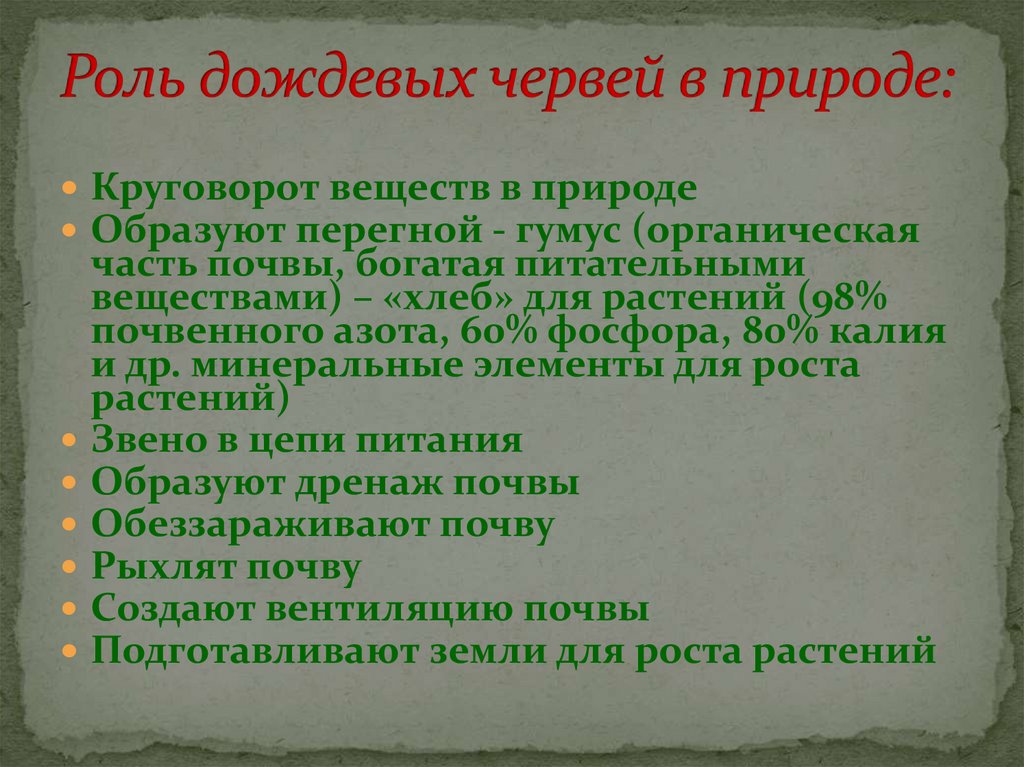 Роль дождевых червей в почвообразовании презентация