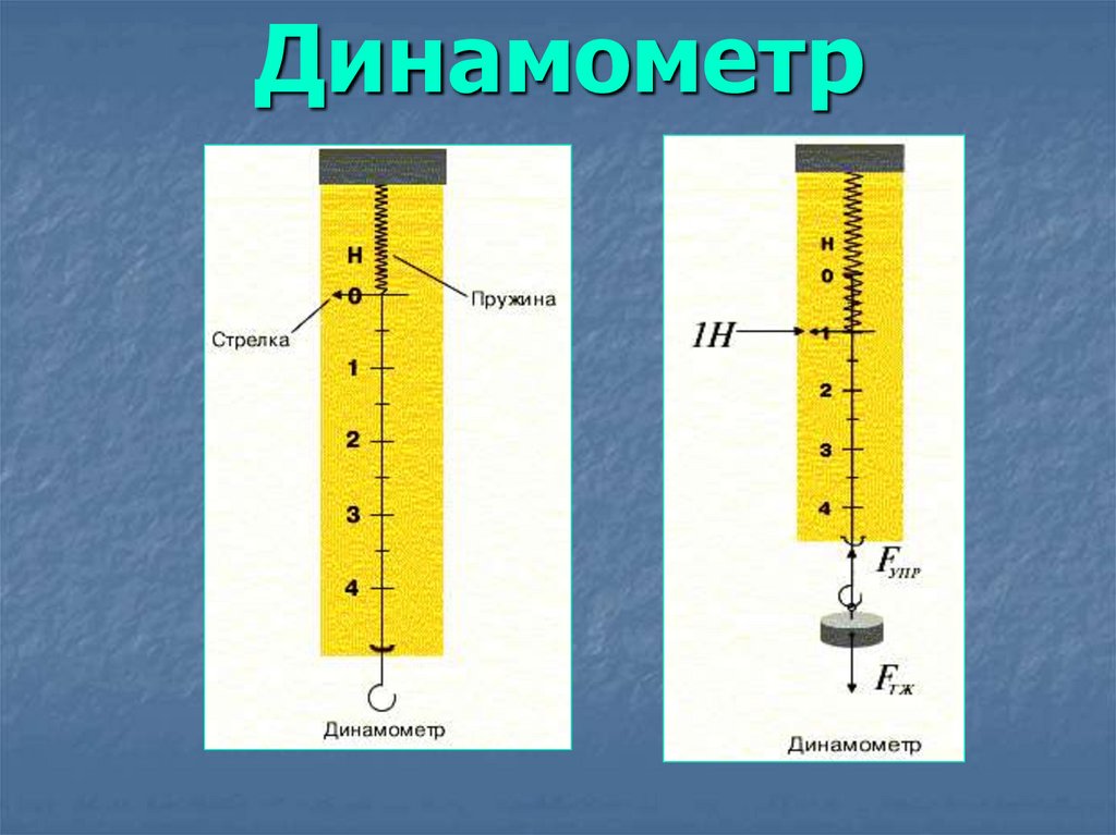 Прибор для измерения ньютонов