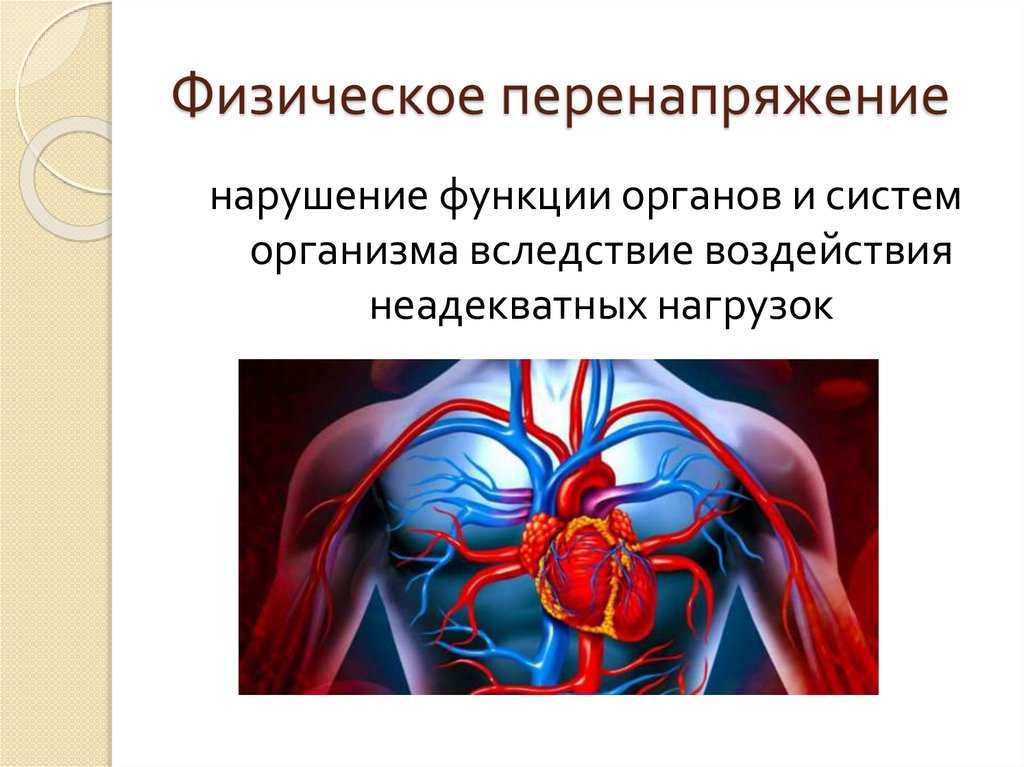 Нарушение функции сердечно сосудистой системы