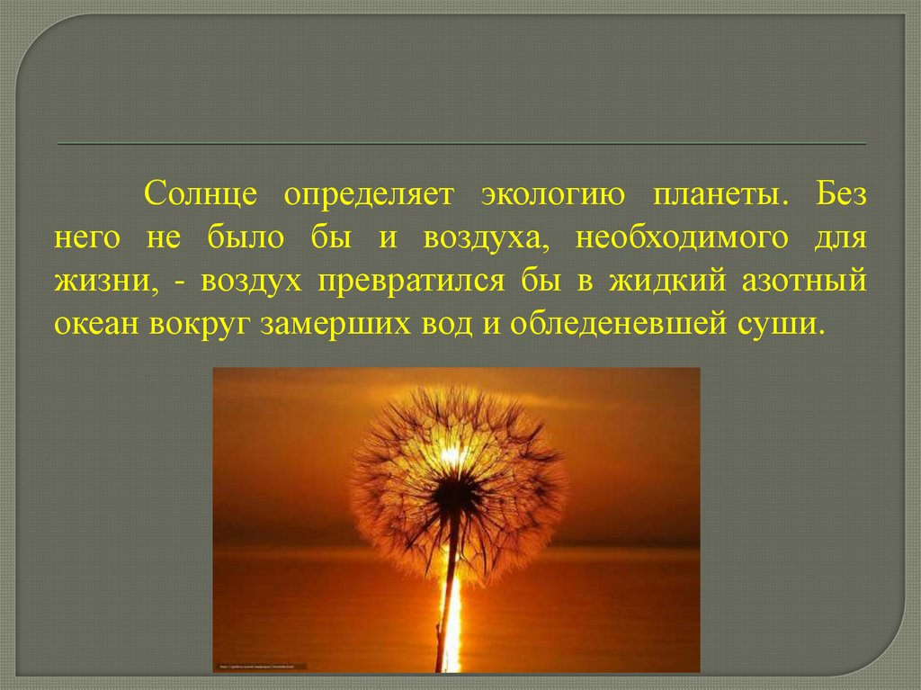 Презентация солнце дня. Дни солнца. Солнце определяет экологию планеты. День солнца праздник. Всемирный день солнца 3 мая.