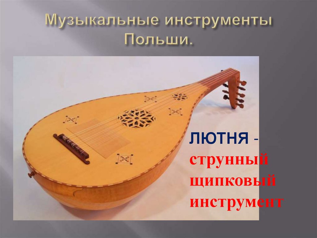 Народный инструмент польши